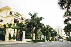 door to be opened wider to viet kieu house buyers