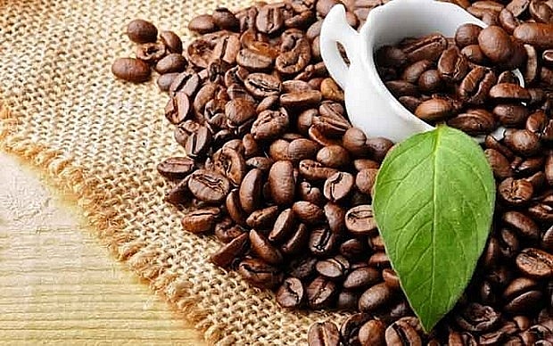 Can coffee supply of Vietnam satisfy Chinese demand?