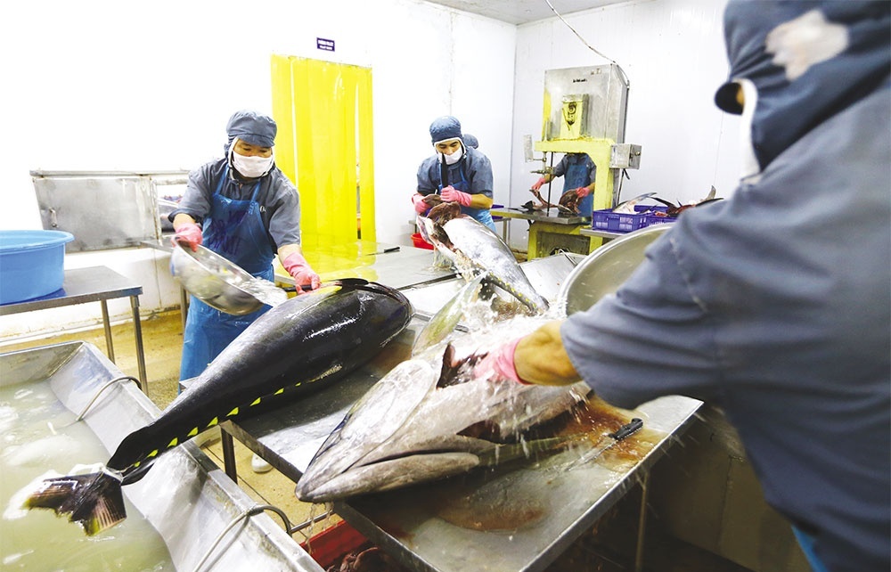 vietnams seafood exporters suffering with euro fluctuation