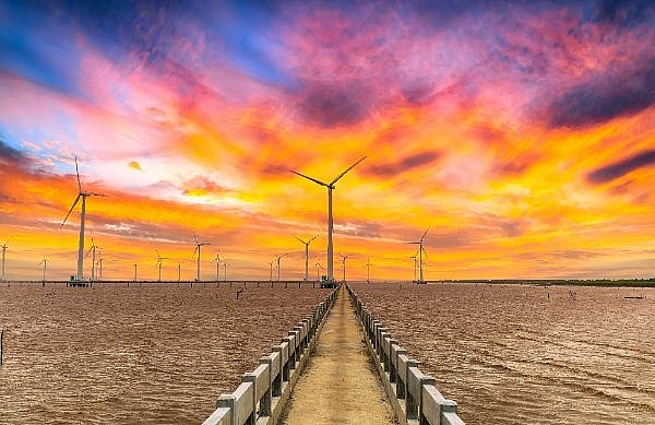 Bespoke answers vital for offshore wind gains