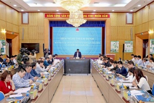 Quang Ngai province to focus on development