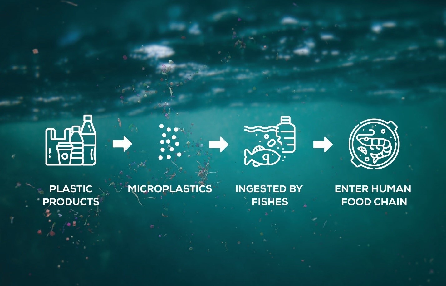 Understanding biodegradable plastics
