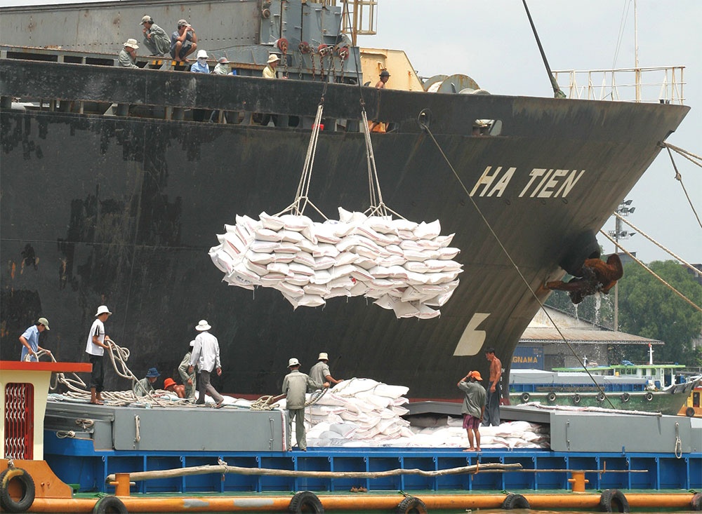 Vietnamese rice performance bodes well for export growth