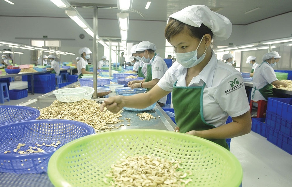 Agro-forestry-fishery sector displays vitality