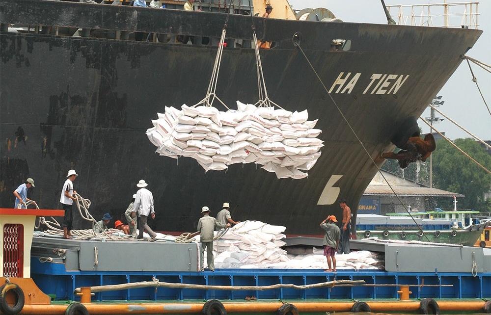 fragmented system hinders agri exports