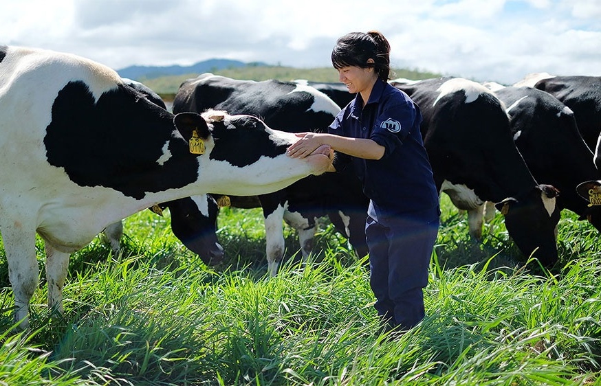 Dairy groups take on greener vision