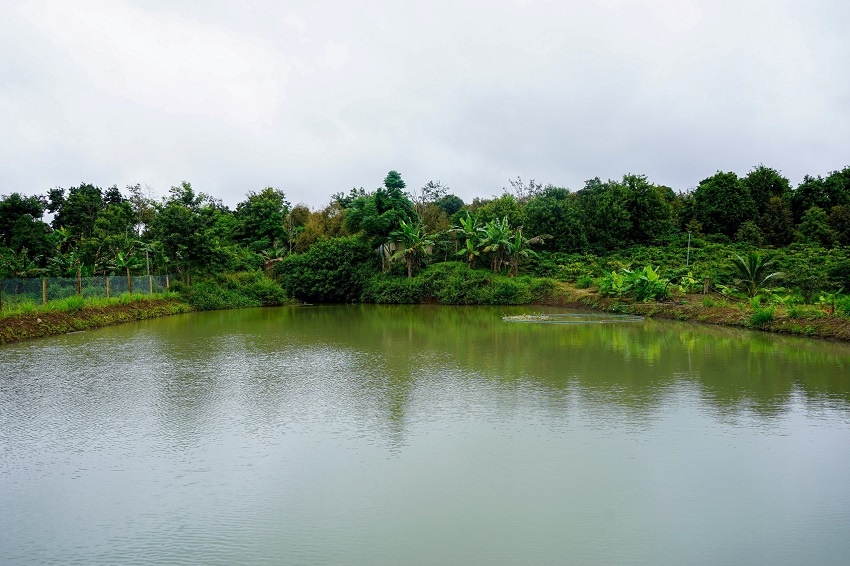 Climate-resilient ponds handed over in Dak Lak province