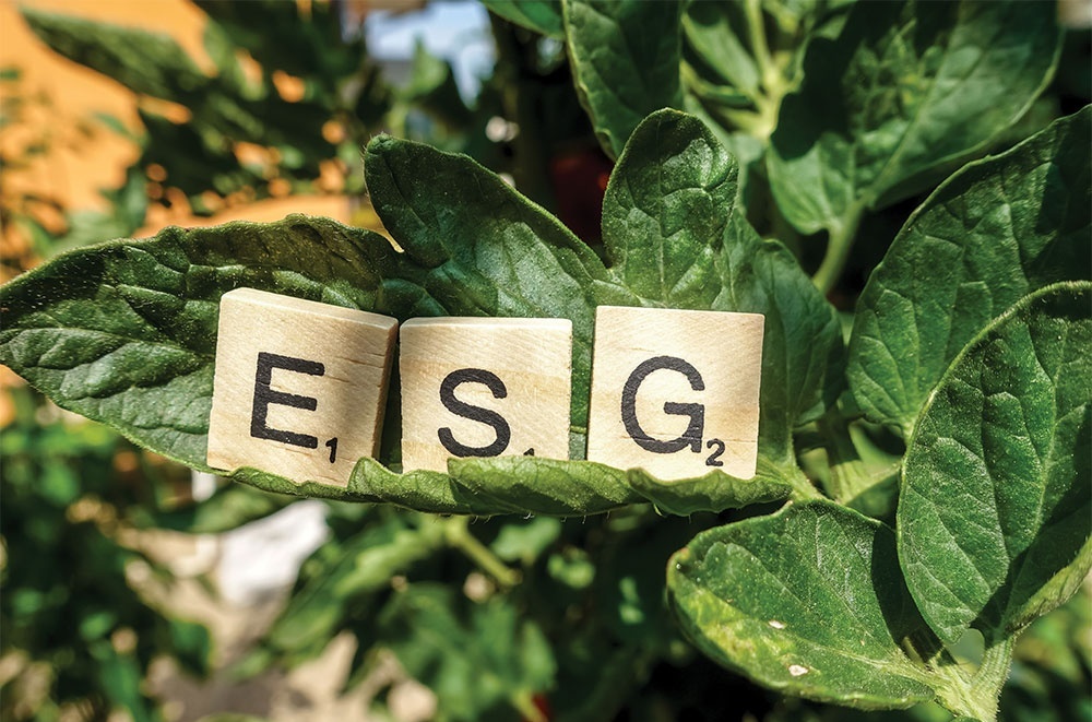 Governance playing part in ESG goal