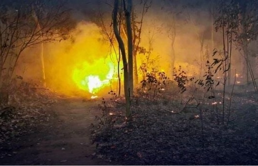 Wildfires rampant in northern Thailand