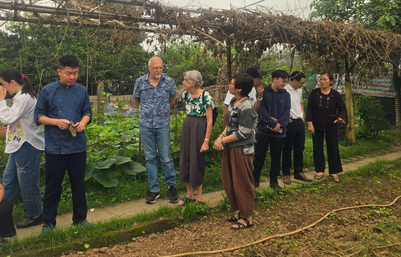 Cultivating agricultural tourism model in Hanoi