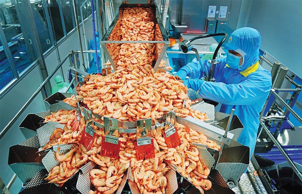 Vietnamese shrimp a gateway to EU market