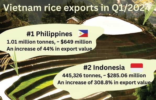 Rice gaining traction within major markets