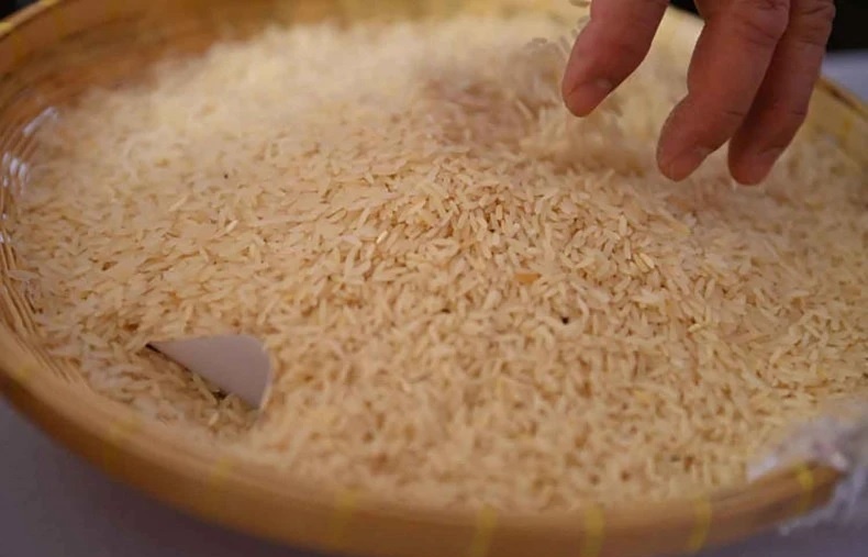 Bidders interested in buying Thai government's 10-year rice