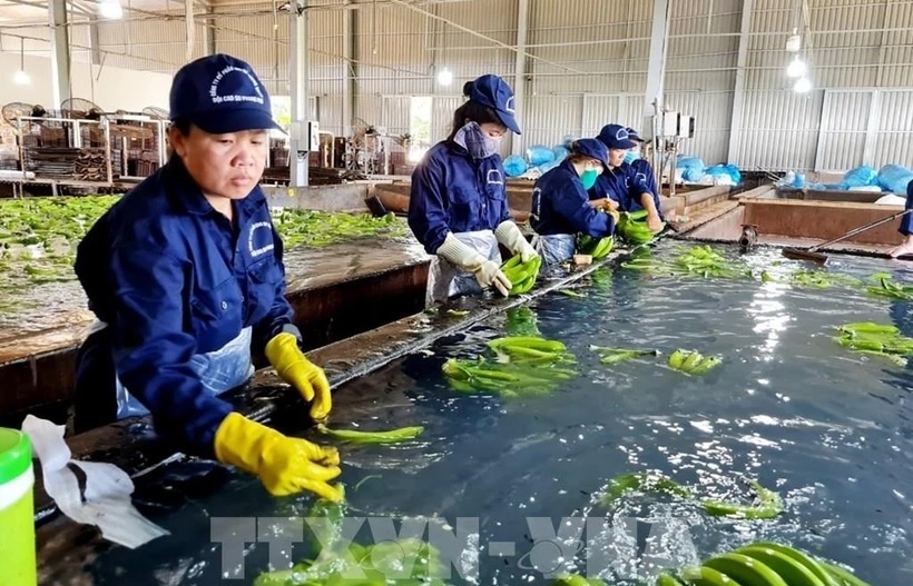 Japan proposes Vietnam revise maximum residue limits for some agricultural chemicals
