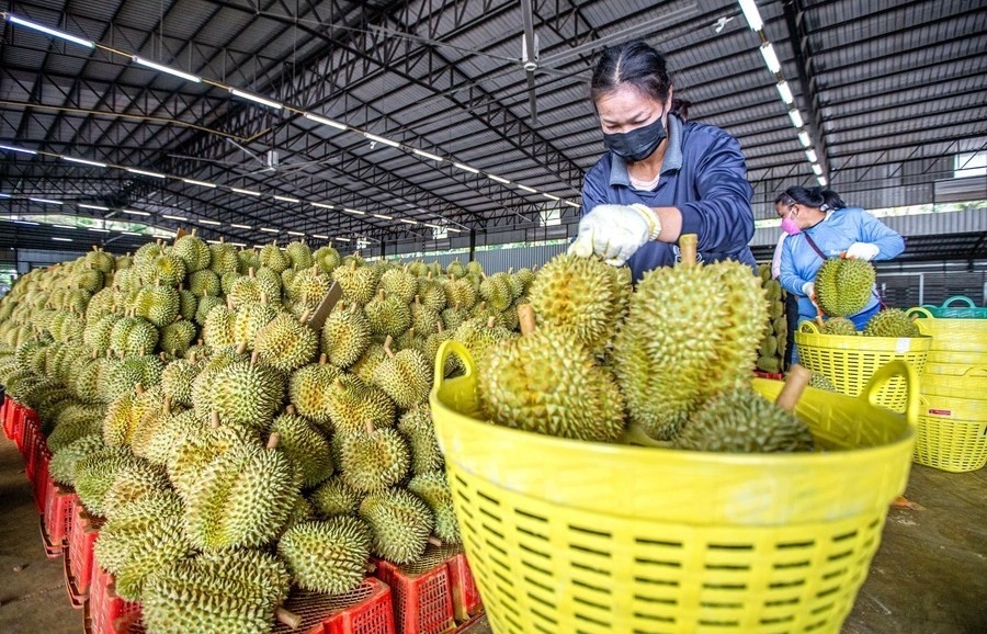 Vietnamese agricultural goods make Chinese e-commerce debut