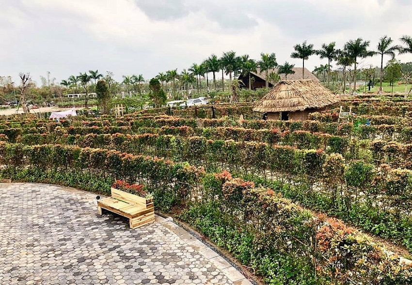 vietnams first verdure labyrinth entrances curious minds in hanoi