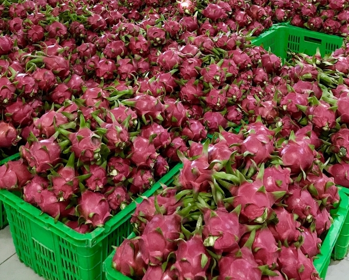 MM Mega Market Vietnam promotes domestic agri-products via Big C Thailand