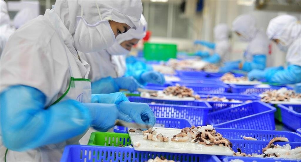 seafood firms toast to first quarter upbeat performance