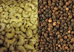 Vietnam tops world’s cashew and pepper exports