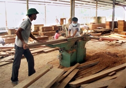Wood processing plants urged to join associations