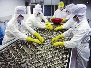 No subsidy for Vietnam’s shrimp producers: VASEP