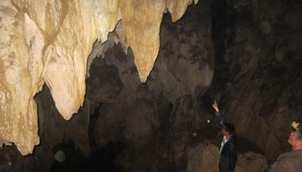 residents discover new cave in thanh hoa