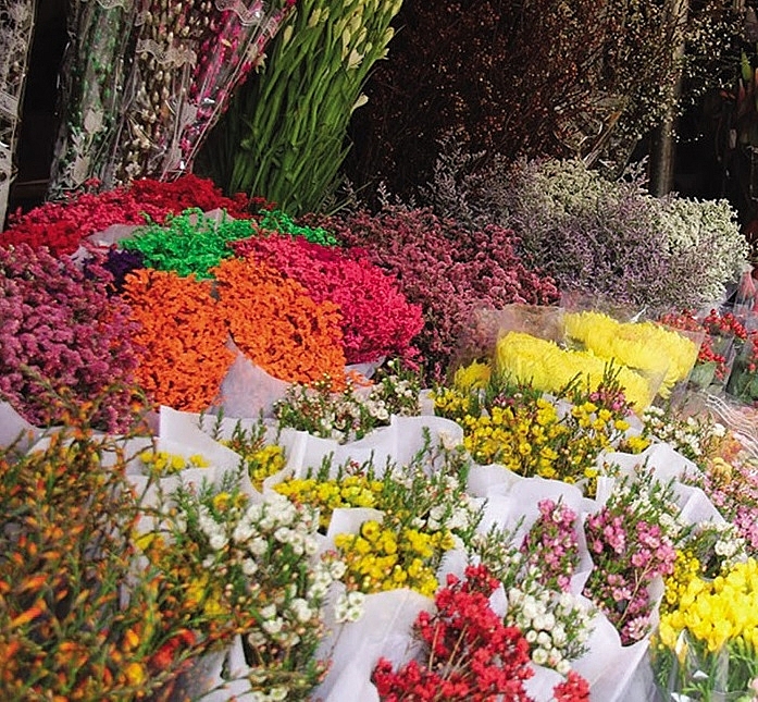 nation awash with stunning flowers just before lunar new year festivities