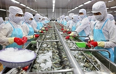 Minh Phu Seafood shares fall on investigation of tax evasion