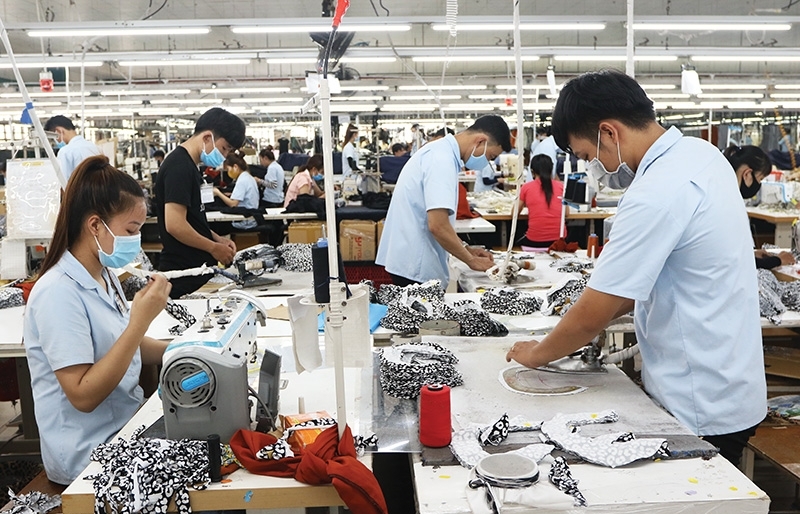 Vietnamese labour market on right track for recovery