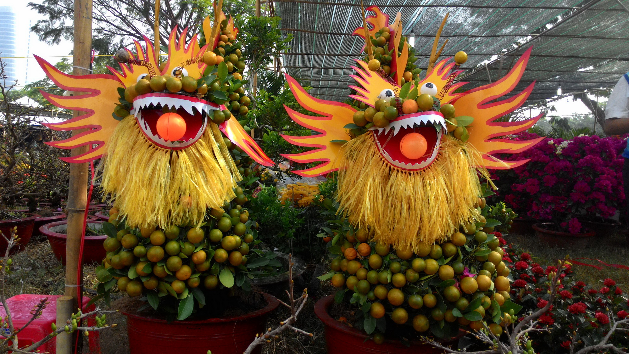 over 100 flower markets open in ho chi minh city