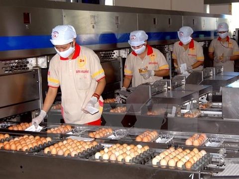 Ministry sets import quotas for eggs, cigarettes