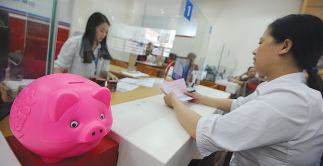Vietnamese banks overly dependent on credit growth