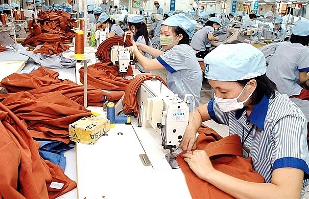 VN Textile Research Institute to launch IPO next month