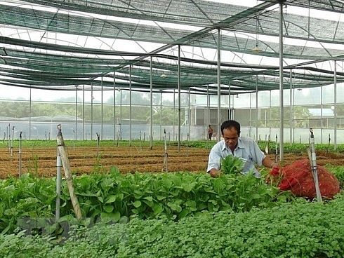 quang tri lures vnd160 billion in hi tech agriculture