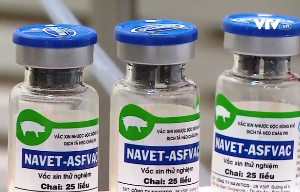 Vietnam steps closer to African swine fever vaccine