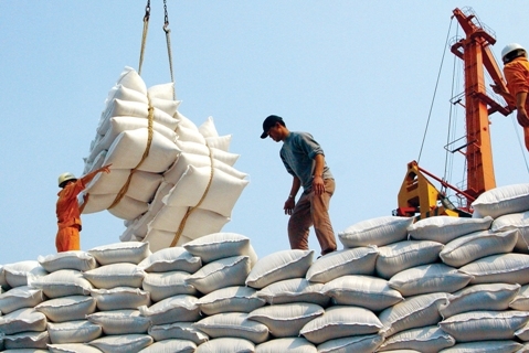 Vietnam signs contracts to export 2.9 million tons of rice