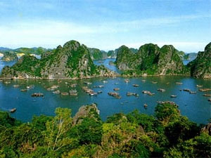 bai tu long bay a national treasure