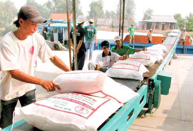 fears over surplus rice sales in india thailand may be groundless