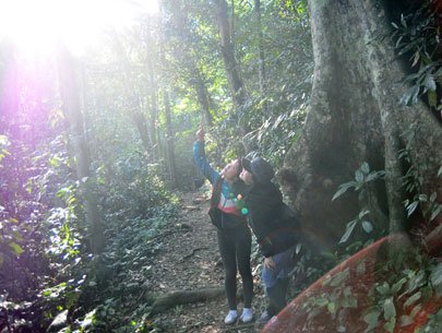 trekking in cuc phuong national park