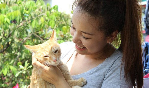 ho chi minh city girl provides unconditional love care for stray cats