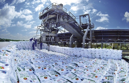 ca mau fertilizer announces new trading code