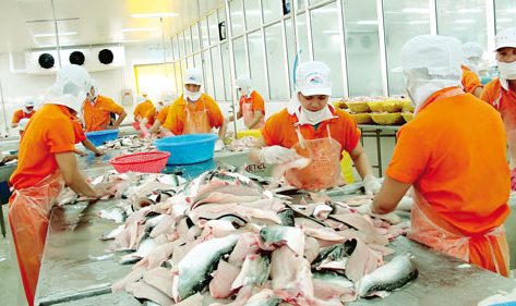 new us rules for vns tra catfish exports begin