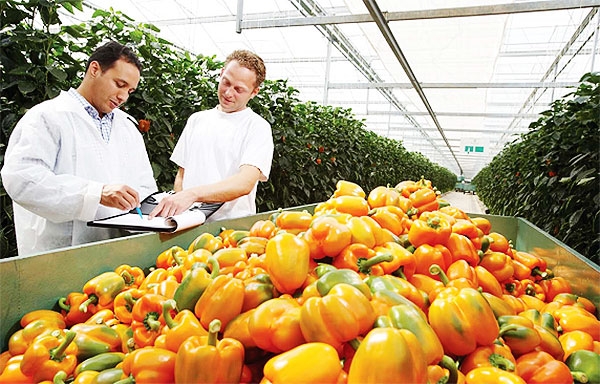 Vietnam and the Netherlands: Creating  a sustainable  future together
