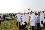 TH Group ‘super cows’ lead the way for dairy industry