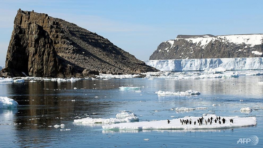 15 million penguins discovered on remote antarctic islands