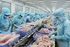 seafood firms yet to hook bumper deals