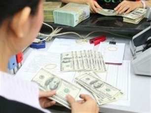 Forex reserves estimated at $19-20 bln