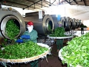 vietnam pakistan trade turnover forecast to rise 30 per cent