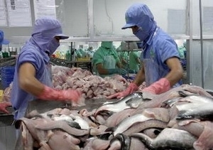 tra fish exports to japan india increase