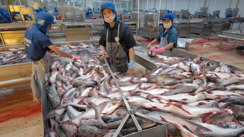 us lowers tra fish anti dumping duties